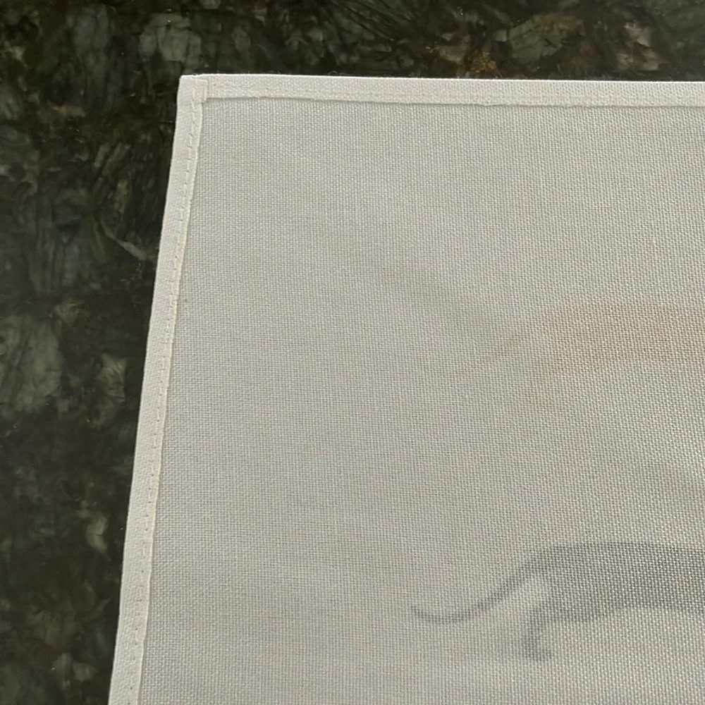 Dachshund place mats set of 4